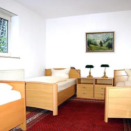 Airport Zeltinger Hof 2*