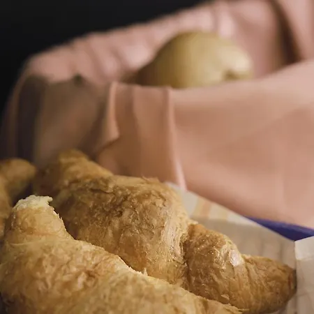 Airport Zeltinger Hof 酒店 2*