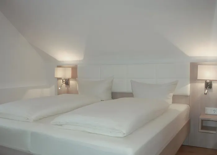 Airport Zeltinger Hof Hotel Kelsterbach